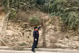 “想锯几棵树烧烧酒，结果越锯越多……”萧山3名“光头强”把自己送进了派出所图片
