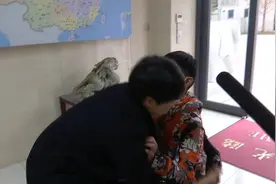 河南郸城到山东烟台 跨越800公里只为说声谢谢你图片