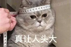 消防标志大科普——多的是你不知道的符号图片