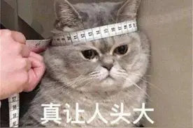 消防标志大科普——多的是你不知道的符号图片