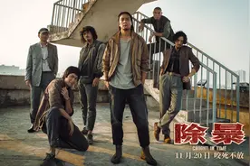 《除暴》：类型化与本土化的抵牾之作图片