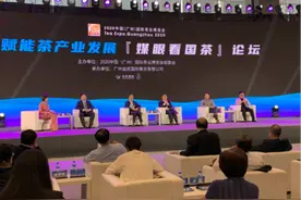 2020中国（广州）国际茶业博览会开幕图片