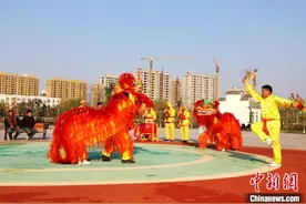 河北平乡农民舞狮队公益演出10年 只为传承文化图片