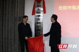 岳阳市临港高新职业技能培训中心揭牌图片