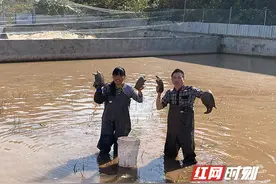 山不转水转 祁东小乡镇走出别样小康路图片