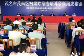 刑拘534个犯罪嫌疑人！茂南区扫黑除恶专项斗争成绩单出炉图片