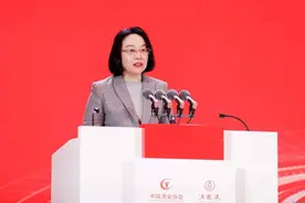 五粮液董事兼总经理陈林因退休辞职图片