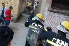 瑟瑟发抖！广东一村民家中惊现100多斤超级大蟒蛇图片