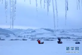 新疆是个好地方｜初冬那拉提：“雾”入仙境图片