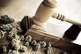 这个东西不能碰！这个圈子不能进！这些事不能做图片