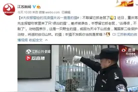 大叔报警捡的流浪猫太凶一查是豹猫：不敢留它抓老鼠了图片