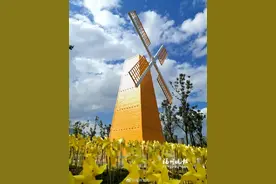 黄风车打卡公园28日开园 入园可领小风车图片