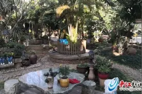 晋江灵源林口“最美庭院”要拆迁了 一院子苗木愿无偿赠予有心人图片