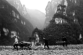 焦波：去了解去经历才能记录土地的真实图片