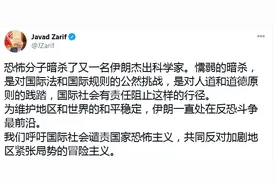 伊朗科学家遭暗杀，扎里夫用中文发推：呼吁国际社会谴责国家恐怖主义图片