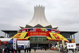 异域风情无限  参与热情不减  东盟国家“实体+云上”参加东博会图片