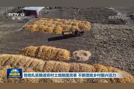 各地扎实推进农村土地制度改革 不断激发乡村振兴活力图片