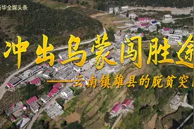 冲出乌蒙闯胜途——云南镇雄县的脱贫突围图片