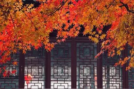 雨水暂歇，抓紧洗晒！下周三起有雨，周四起冷空气降温图片