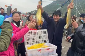 羡慕的眼泪从嘴边流下！总价值超百万的东海野生大黄鱼今天到港上岸图片