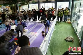 孩子王PK百兽之王 常州动物世界举行别开生面爬行大赛图片