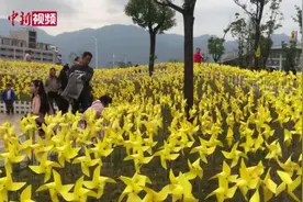万个黄色小风车扮靓福州 这一处网红打卡地你爱了吗？视频封面
