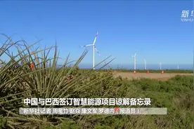 中国与巴西签订智慧能源项目谅解备忘录视频封面