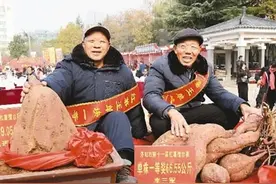 汝阳：红薯擂台赛 农民笑开怀图片