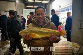 最大的比43码鞋子还长！零售价1000多元一斤！浙江800多斤野生大黄鱼提前回港！码头上金灿灿一片……图片