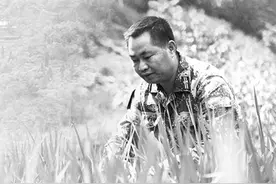 回到家乡小山村——“兵支书”刘其发的扶贫故事图片