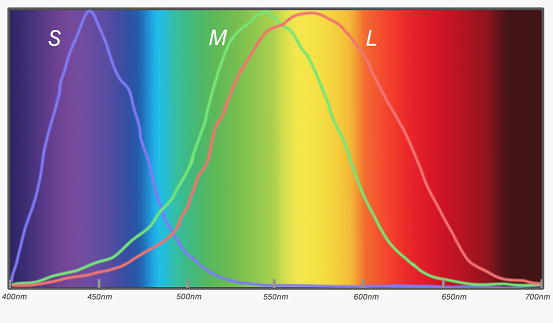 紫光展锐通信算法工程师的岗位