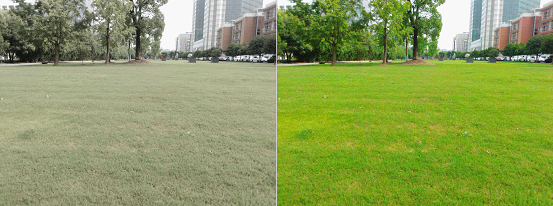 紫光展锐通信算法工程师的岗位