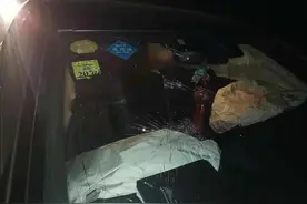 湖北这条省道有“熊出没”？民警调查发现：奔驰车撞上了一头野猪，还很大图片