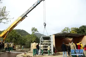 巴基斯坦唯一一头亚洲象“迁居”柬埔寨图片