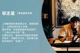 一品红过气了？给新年添一把火，别错过这些节庆植物 | 花博士小课堂图片