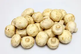 口蘑的“口”、河粉的“河”、阿胶的“阿”、巴豆的“巴”，都是什么？图片