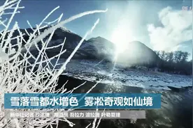 雪落雪都水增色 雾凇奇观如仙境视频封面