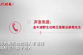 小心，小白兔会咬人！南京一野生动物园一天内三幼儿伤了手指图片