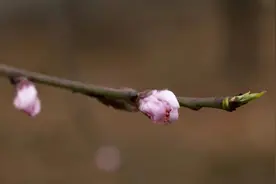 夜话丨四季轮回，最美不过二十四节气……图片