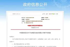 关于"存款保险标识"的小张力与小动作：小银行的营销手段，大银行的甜蜜负担图片