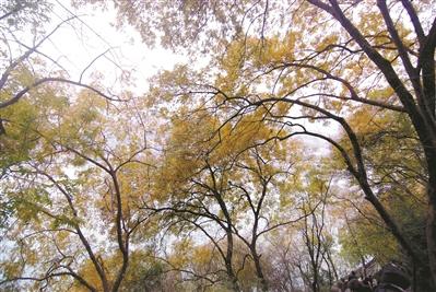 年假“消消乐”岁末总动员