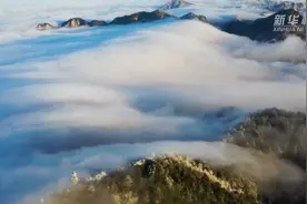 【“飞阅”中国】雪霁神农架 你绝对没有见过的云海景观视频封面