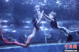 四川万源海洋世界表演者化身“美人鱼”上演“人鱼共舞”图片