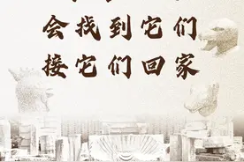 终有一天，接你回家图片