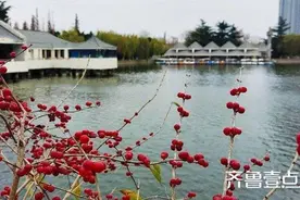 顺成视界｜现河公园：平度的又一张亮丽名片图片