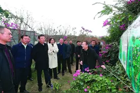 赵乐秦调研漓江生态保护和可持续发展工作图片