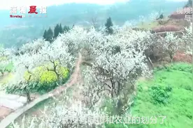 重庆一村民称全村户口被莫名“农转非”，其担心影响子女上学 镇长：没有农业和非农区别 现在统称为居民 是城镇属性