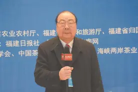 海丝国际茶文化论坛参会侨胞：向世界讲好中国茶故事图片