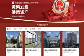 1.12亿！黄鸿发涉黑财产拍卖成交额创新高！围观人次超230万图片