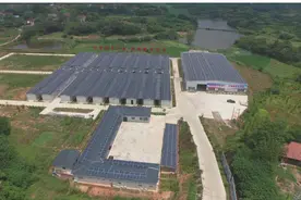 精准脱贫的“望江实践”图片